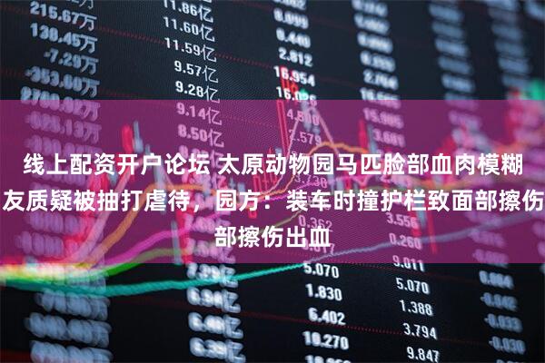 线上配资开户论坛 太原动物园马匹脸部血肉模糊，网友质疑被抽打虐待，园方：装车时撞护栏致面部擦伤出血