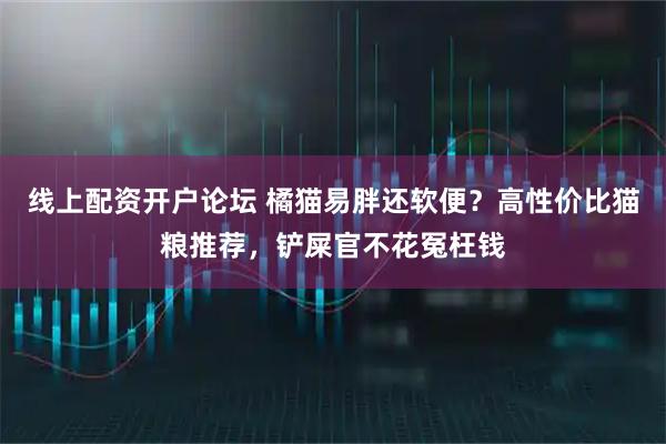 线上配资开户论坛 橘猫易胖还软便？高性价比猫粮推荐，铲屎官不花冤枉钱